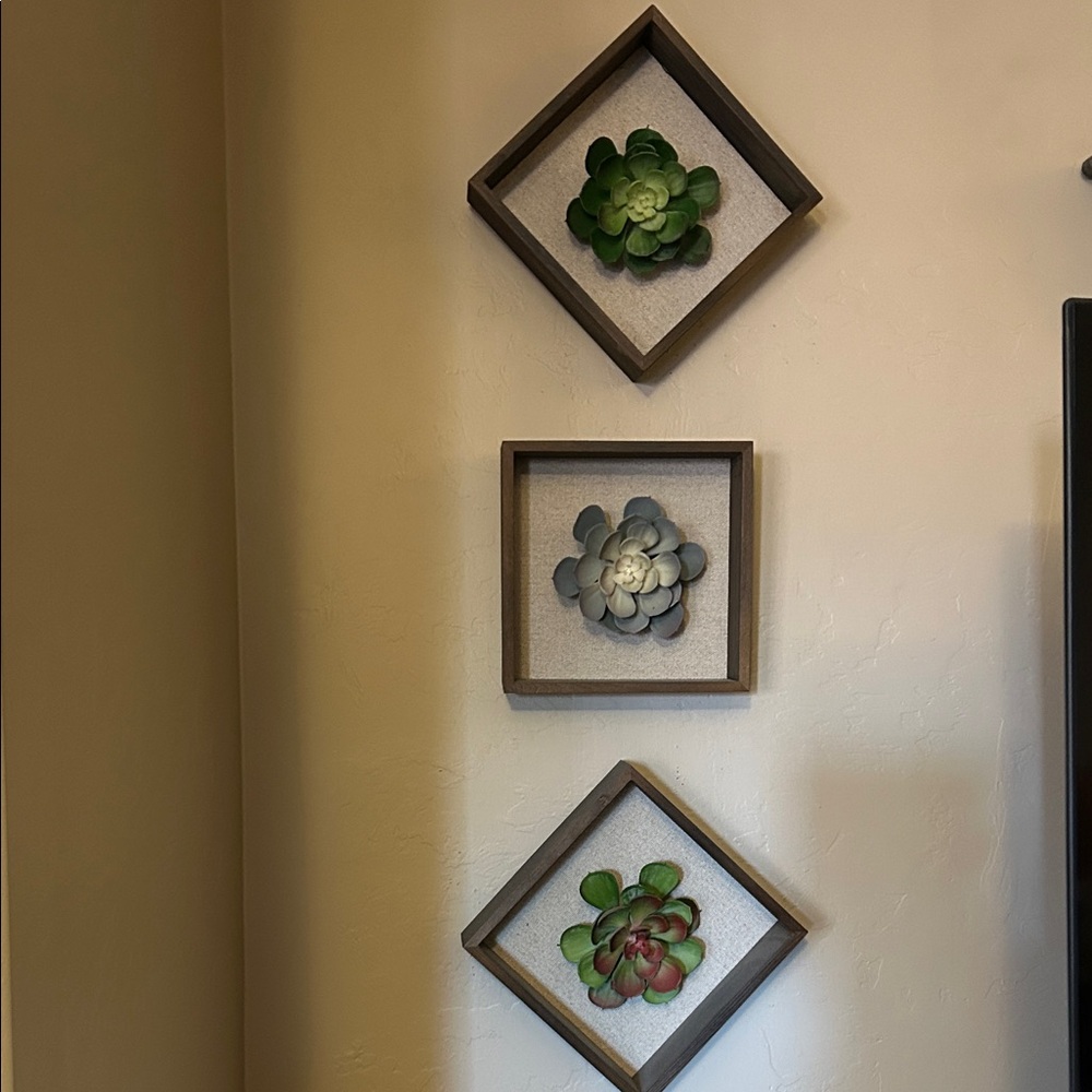 3 pc Framed Succulent Wall Decor Set - Green, Gray, and Red